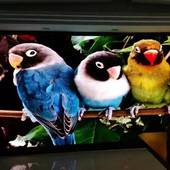 Tampilan Dinding Video Led Ultra Tipis Papan Reklame Video Penuh Warna P1.667 P1.25 Indoor RGB